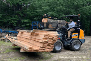 GiANT Loaders - G1500 Compact Wheel Loader